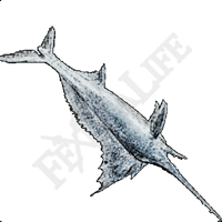 Frozen Speartuna I